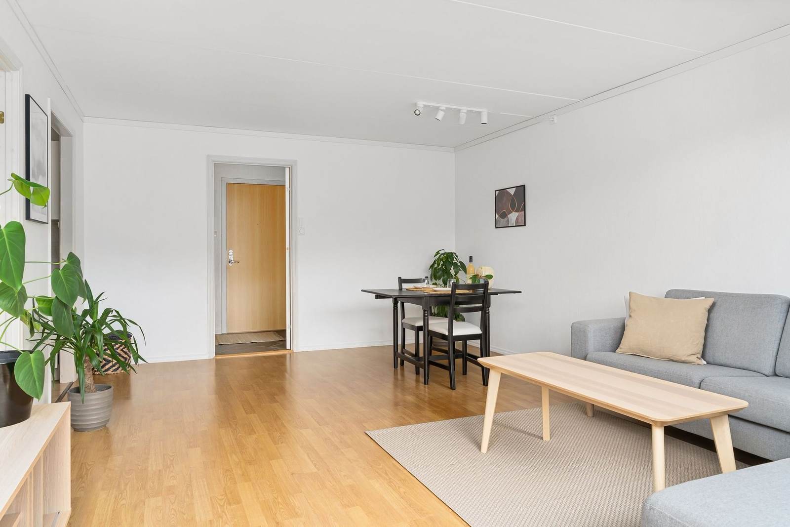 Light oak plank floor in an open living room